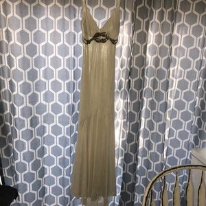 Long Spring / Summer Evening Gown